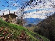 In Canto Alto da Cler di Sedrina-2apr24  - FOTOGALLERY